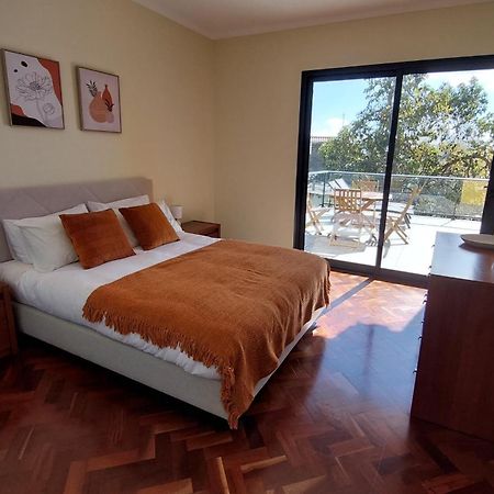 Villa Strelitzia Funchal Dış mekan fotoğraf