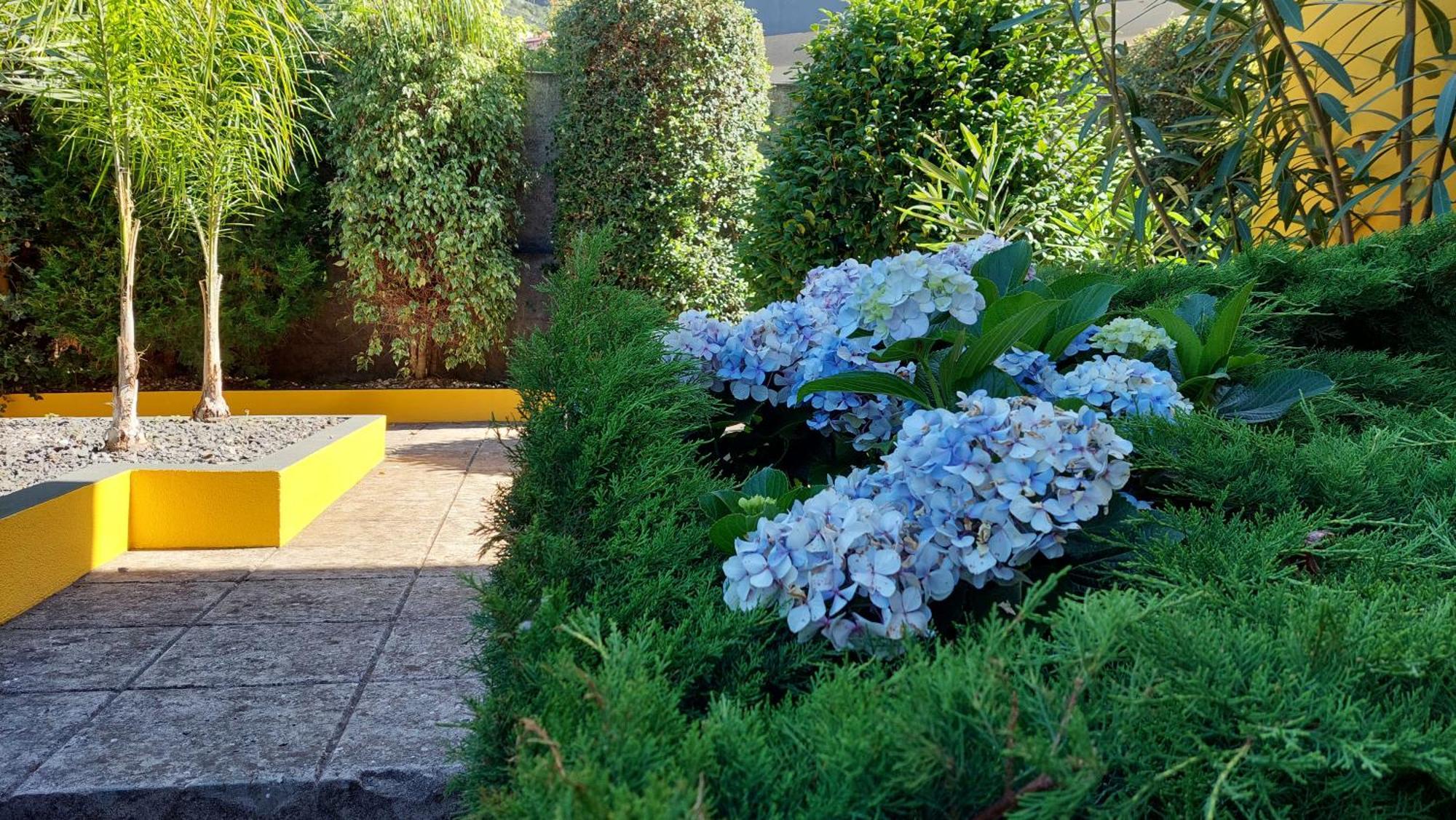 Villa Strelitzia Funchal Dış mekan fotoğraf